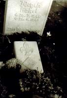VictoriaLuise05.jpg