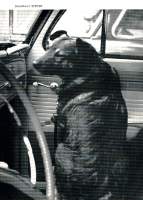 st62516.jpg